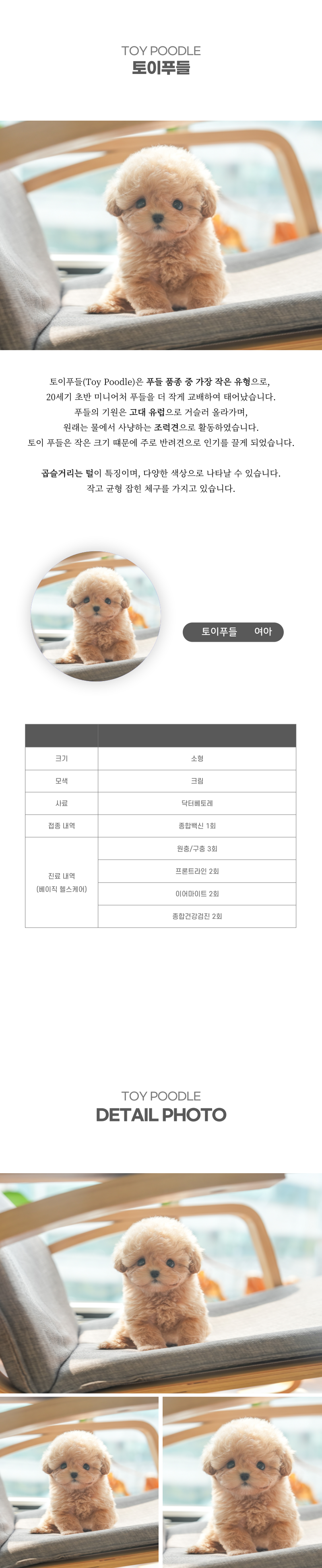 토이푸들_상세이미지_2